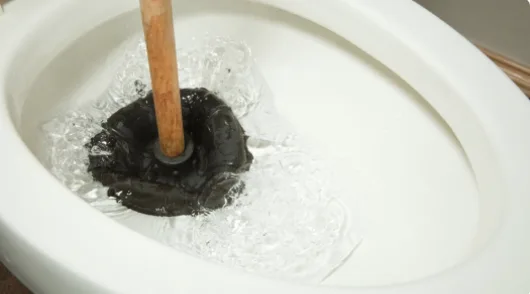 Blocked Toilets